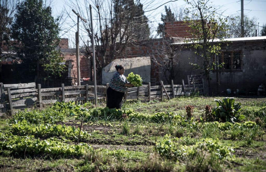 El huertazo urbano. Rosario: agroecología en la ciudad