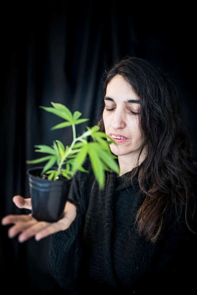 Plantadas: Valeria Salech (Mamá Cultiva), Rosalía Pellegrini (UTT) y el cannabis medicinal