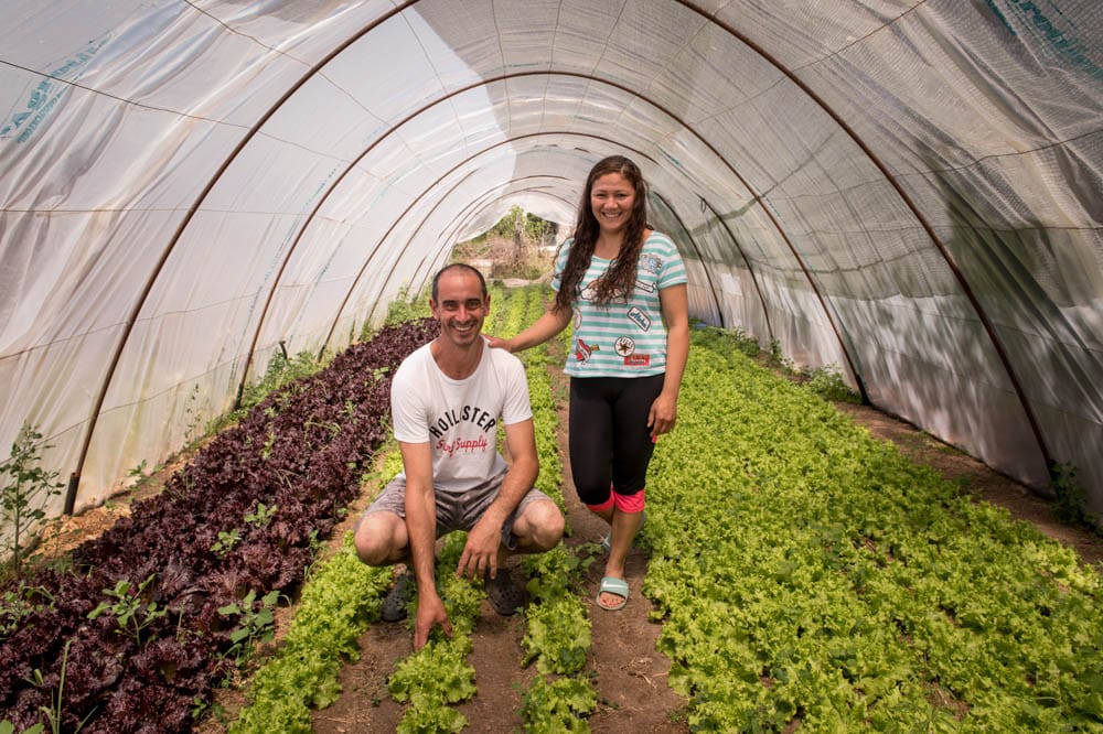 Agro-lógicas. MU en Guaminí: producción y alimentación sanas