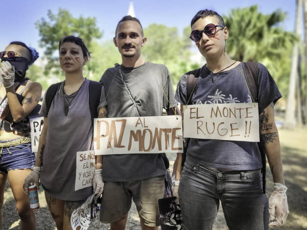 Corrientes: crónica de un ecocidio