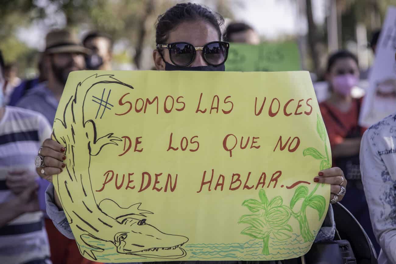 “Nunca más gobiernos ecocidas”: puentazo en Corrientes para exigir ley de humedales ya