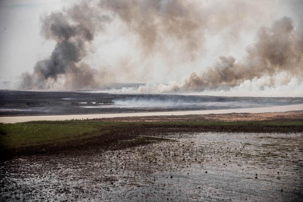 Viaje en llamas: Rosario y los humedales incendiados