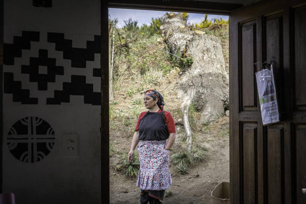 Presas políticas: entrevista a las mapuche detenidas