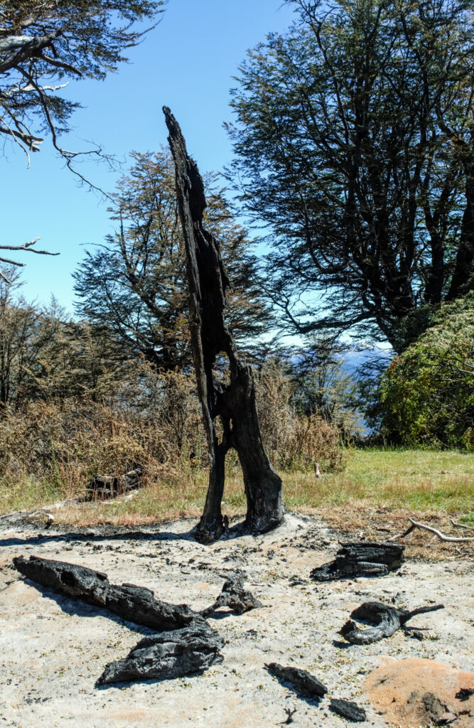 “Jamás provocaríamos un incendio”: la respuesta de la comunidad mapuche acusada por el gobernador de Chubut por el fuego en Los Alerces
