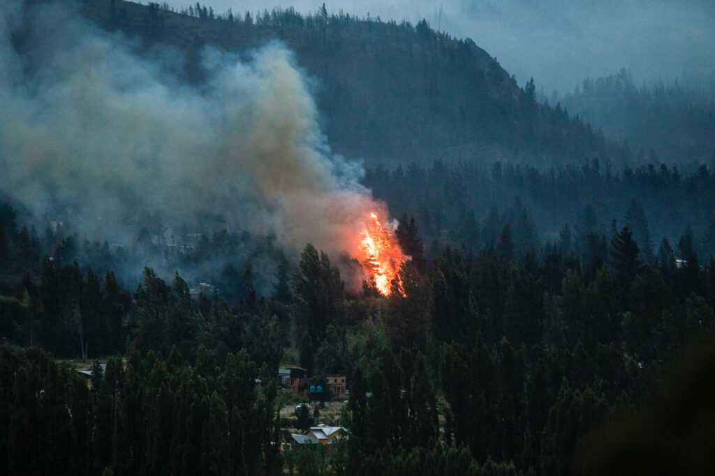 Infiernos en la Comarca Andina: el estado de las llamas