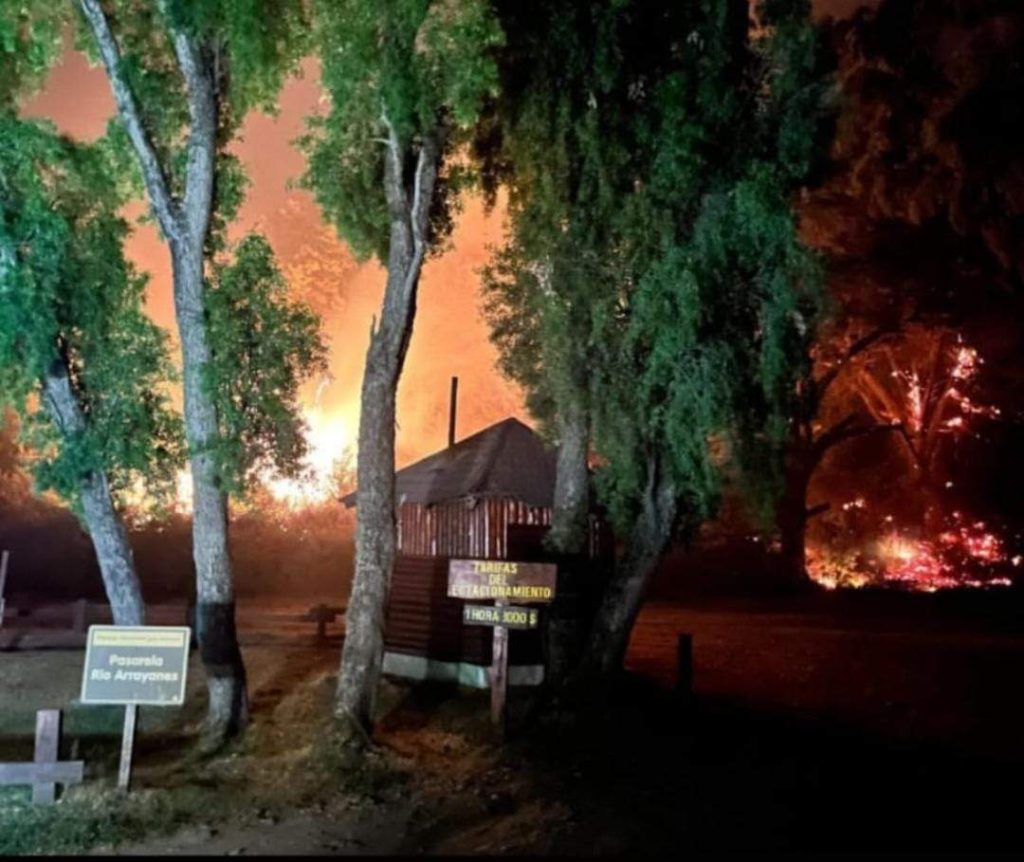 Incendios en Chubut: “Se está quemando nuestra historia”