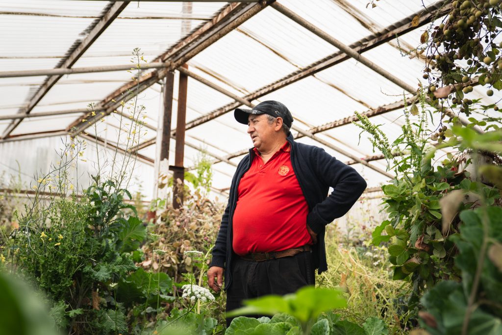 Capítulo IV: Agroecología en el principio del mundo