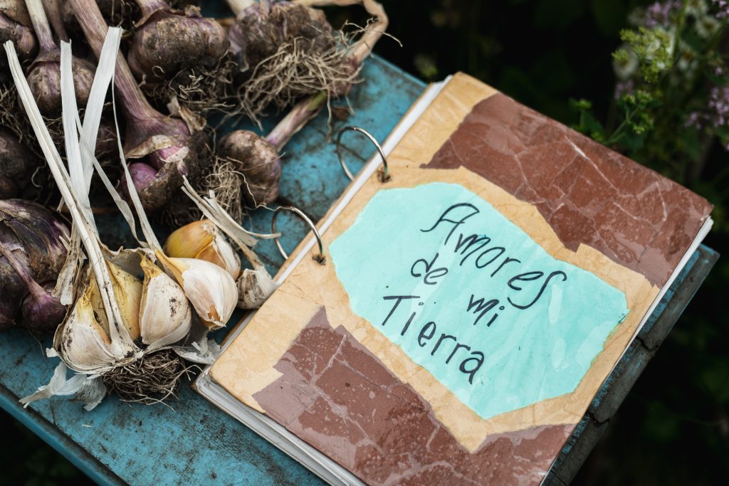 Capítulo IV: Agroecología en el principio del mundo