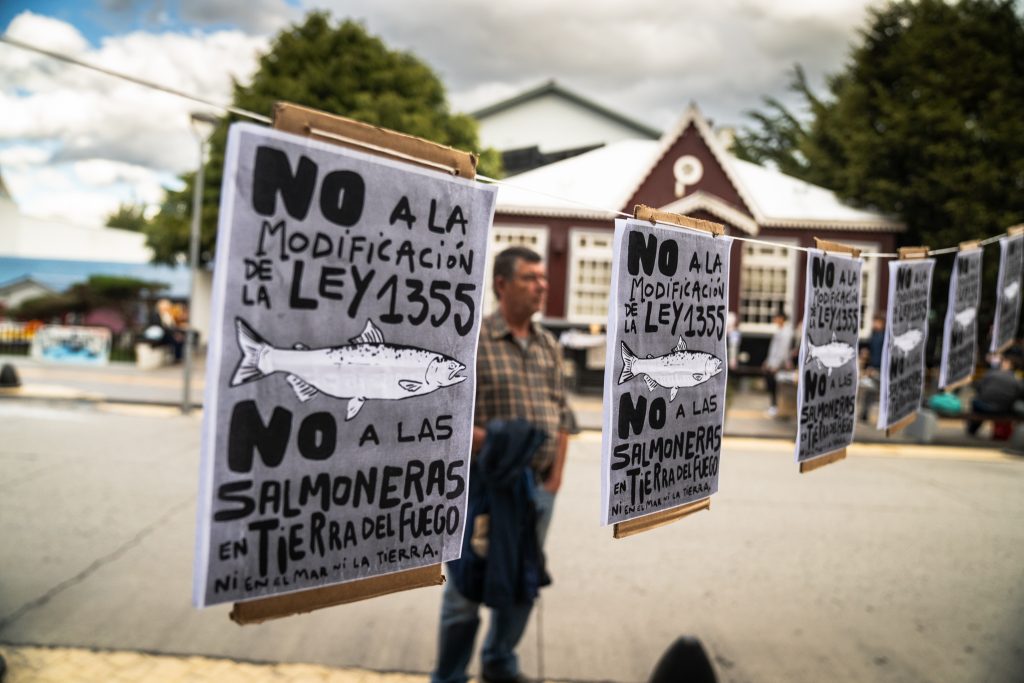 Capítulo III: a contracorriente de las salmoneras