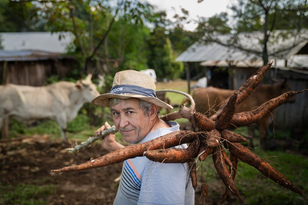 Desde Misiones: alerta verde y la desregulación de la realidad