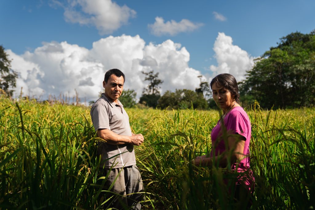 Desde Misiones: alerta verde y la desregulación de la realidad