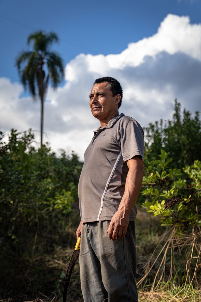 Desde Misiones: alerta verde y la desregulación de la realidad