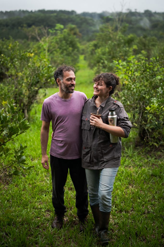 Desde Misiones: alerta verde y la desregulación de la realidad