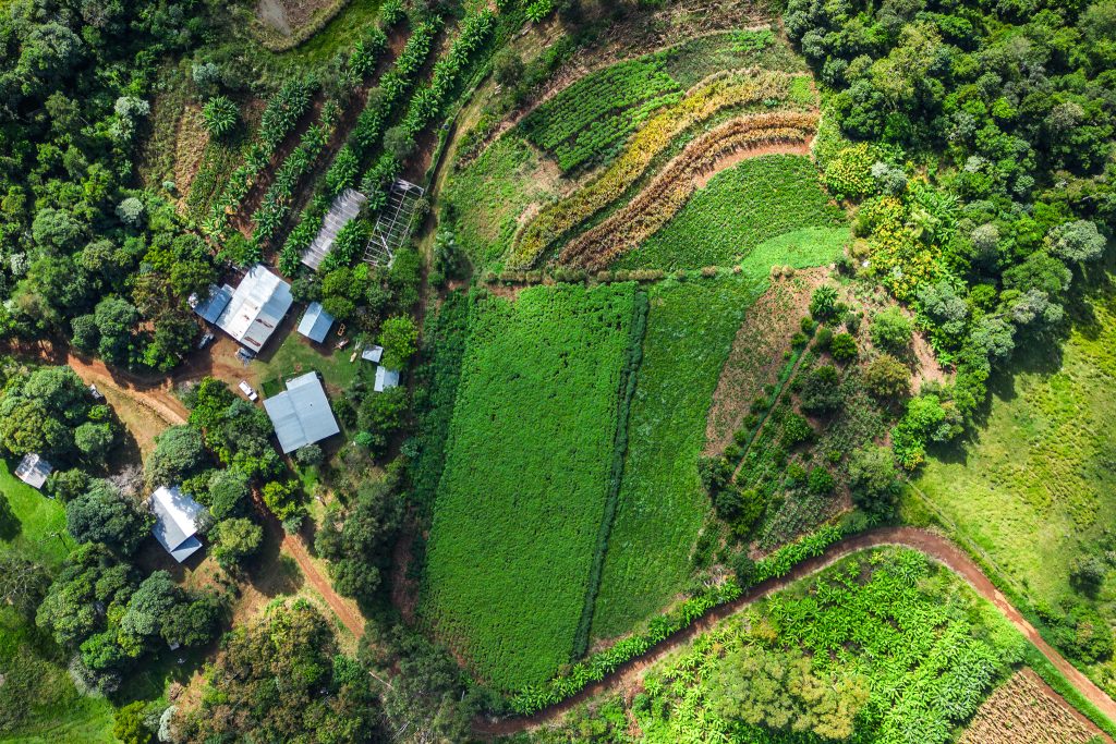 El libro de la selva: agroecología en Misiones