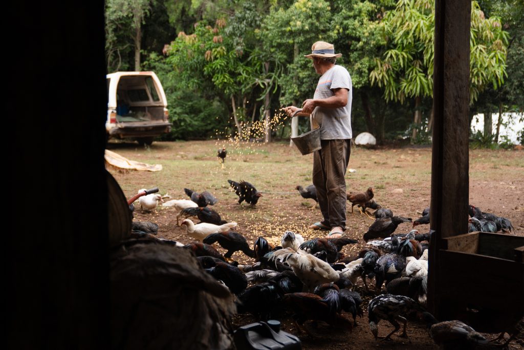 El libro de la selva: agroecología en Misiones